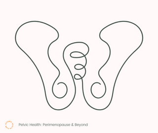 What happens to your pelvic health in perimenopause
